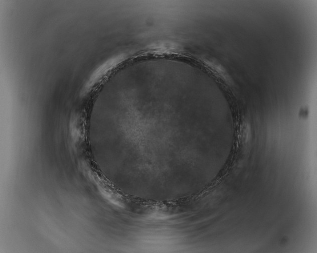 X0000115651207200911241726