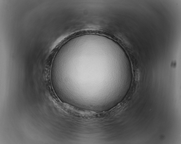 X0000115651208200911241726