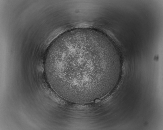 X0000115651209200911241726