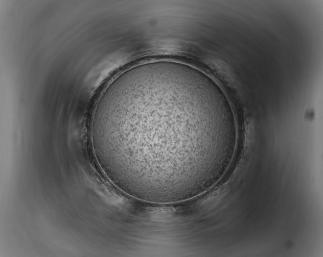 X0000115651210200911241726