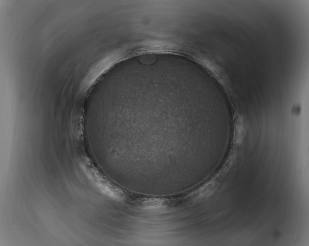 X0000115651211200911241726