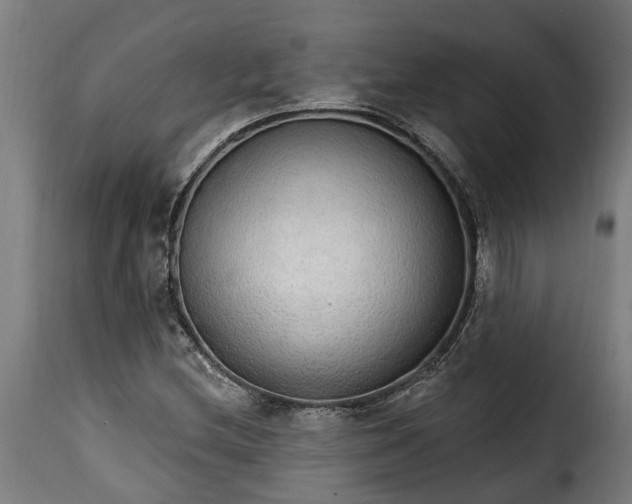 X0000115651212200911241726