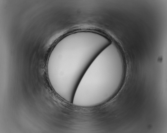 X0000115651213200911241726