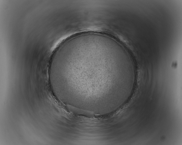 X0000115651214200911241726