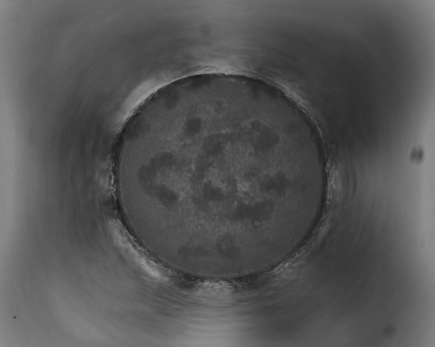 X0000115651215200911241726