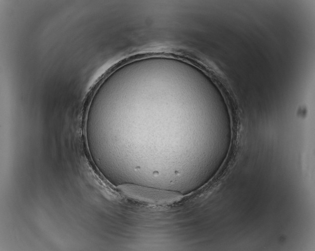 X0000115651216200911241726