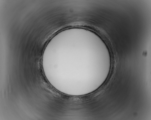 X0000115651217200911241726