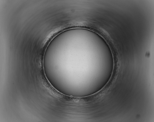 X0000115651218200911241726