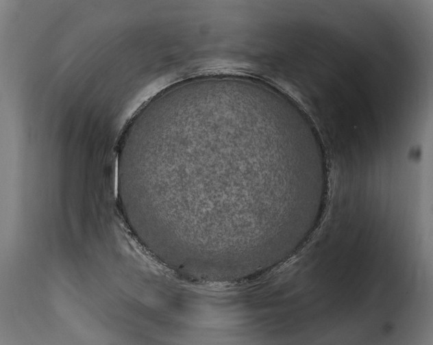 X0000115651219200911241726