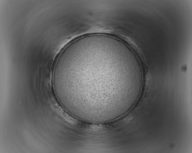 X0000115651220200911241726