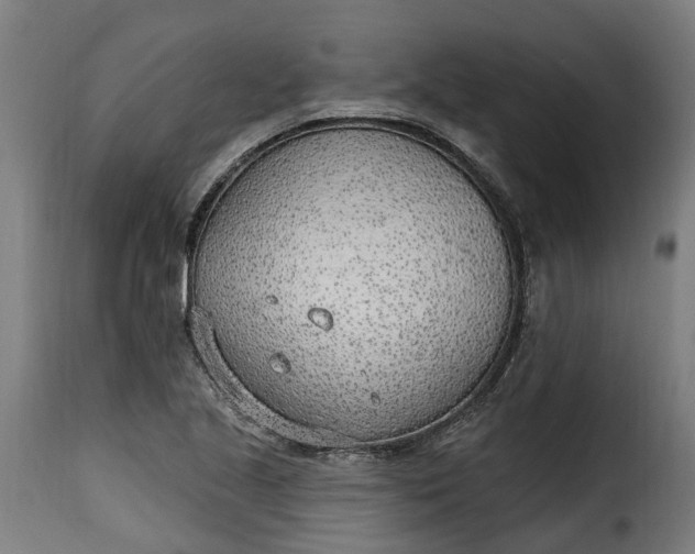 X0000115651221200911241726