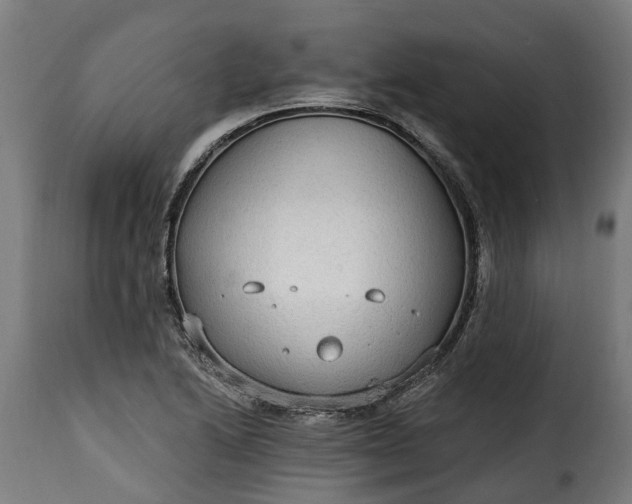 X0000115651222200911241726