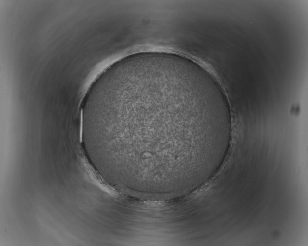 X0000115651223200911241726