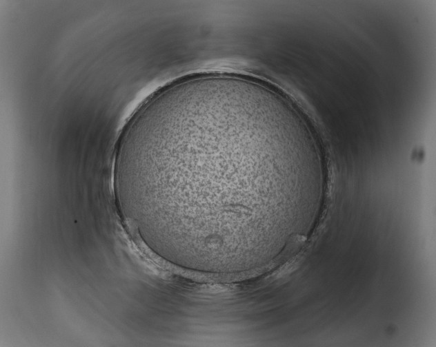 X0000115651224200911241726