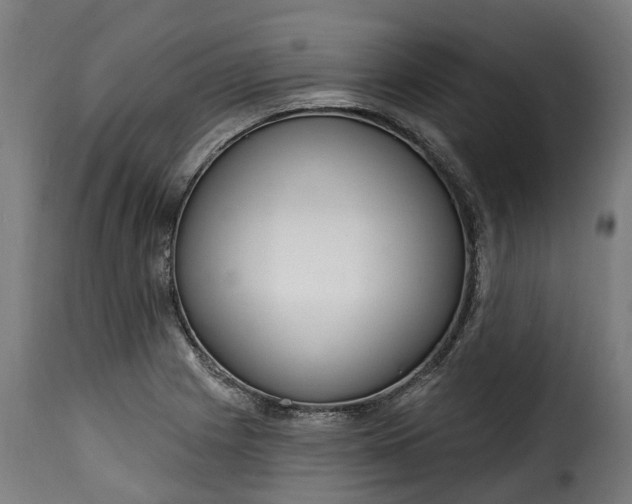 X0000115651225200911241726