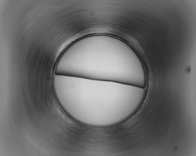 X0000115651226200911241726