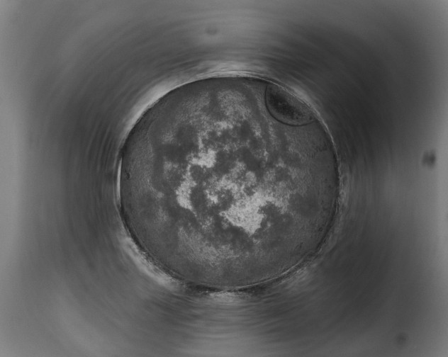 X0000115651227200911241726