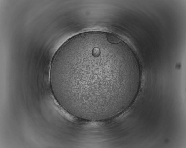 X0000115651228200911241726