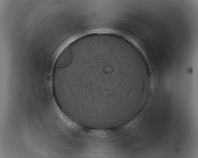 X0000115651229200911241726