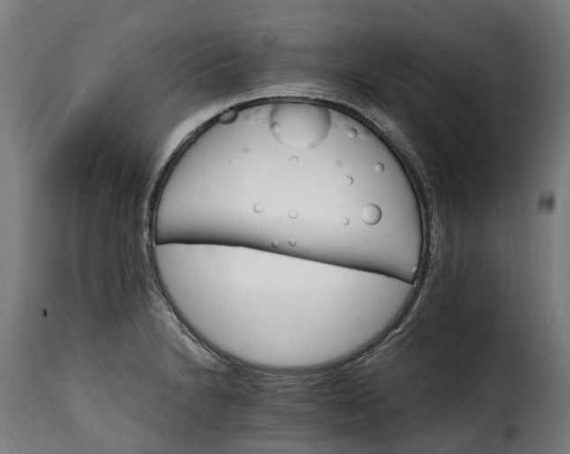 X0000115651230200911241727