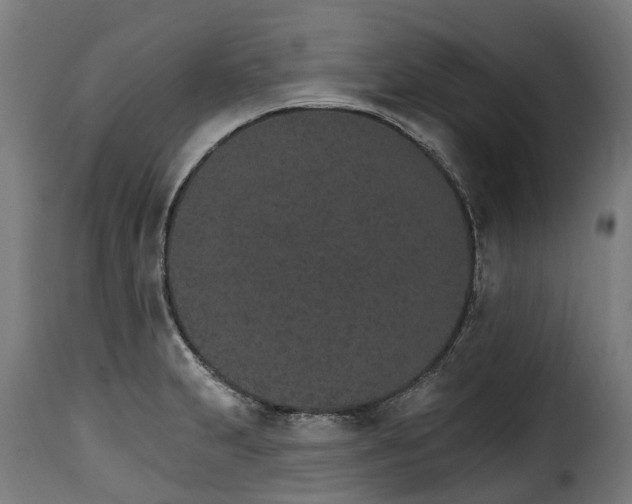 X0000115651231200911241727