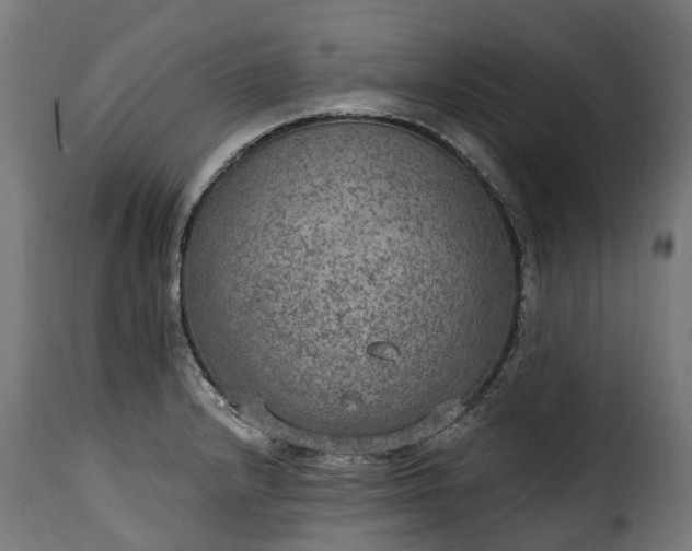 X0000115651232200911241727