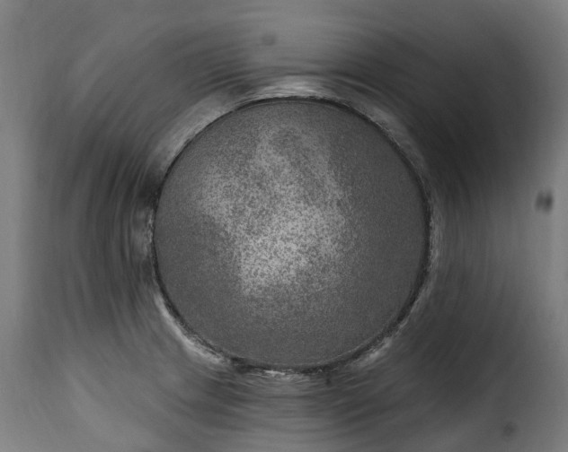 X0000115651233200911241727