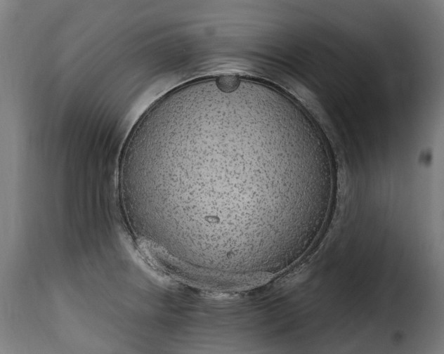 X0000115651234200911241727