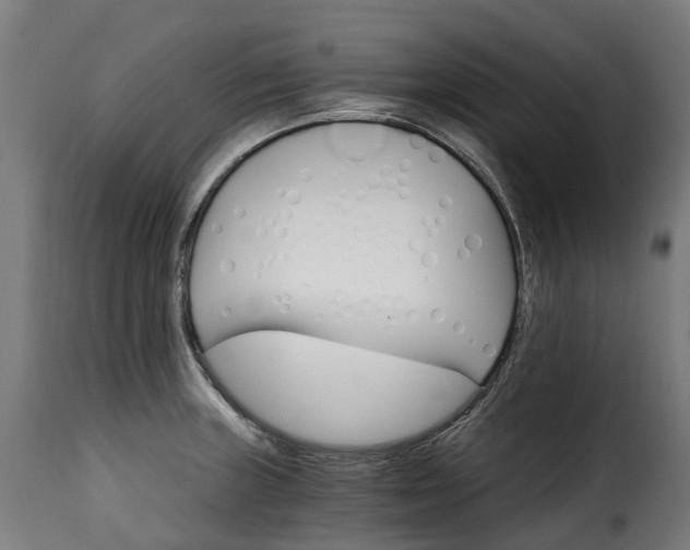 X0000115651235200911241727