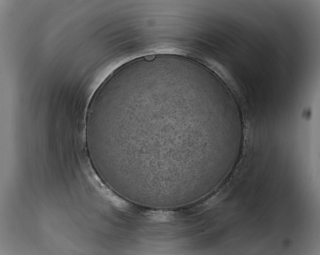 X0000115651236200911241727