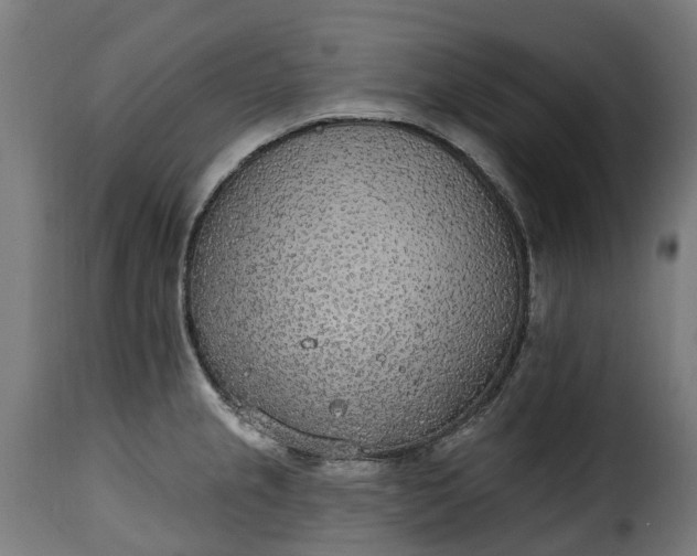 X0000115651237200911241727