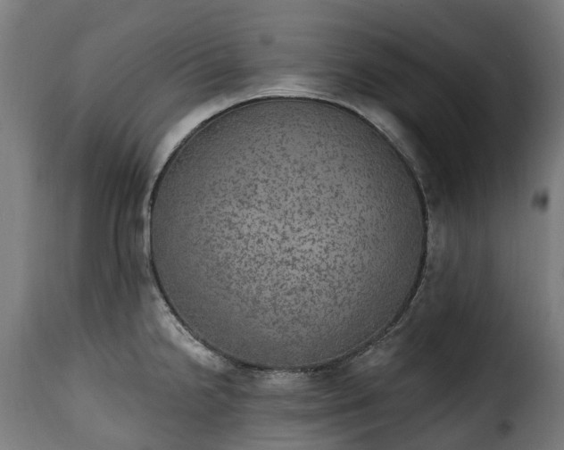 X0000115651238200911241727