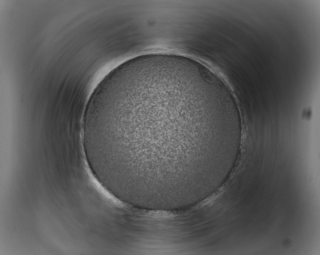 X0000115651239200911241727