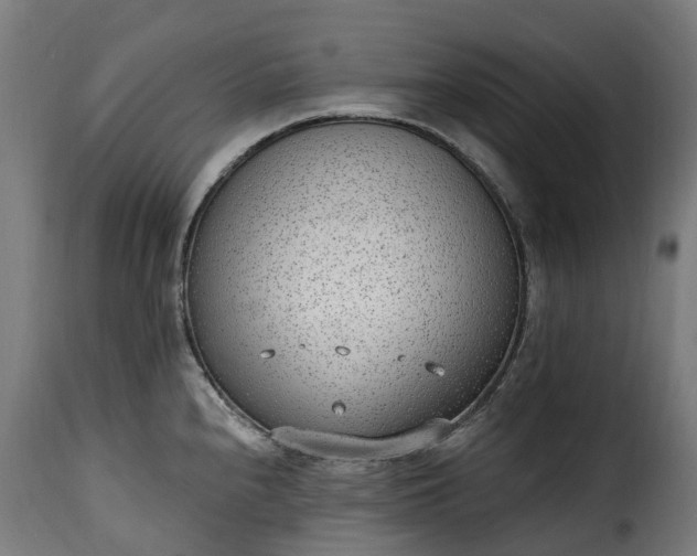 X0000115651240200911241727