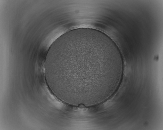 X0000115651241200911241727