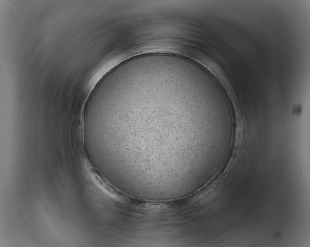 X0000115651242200911241727