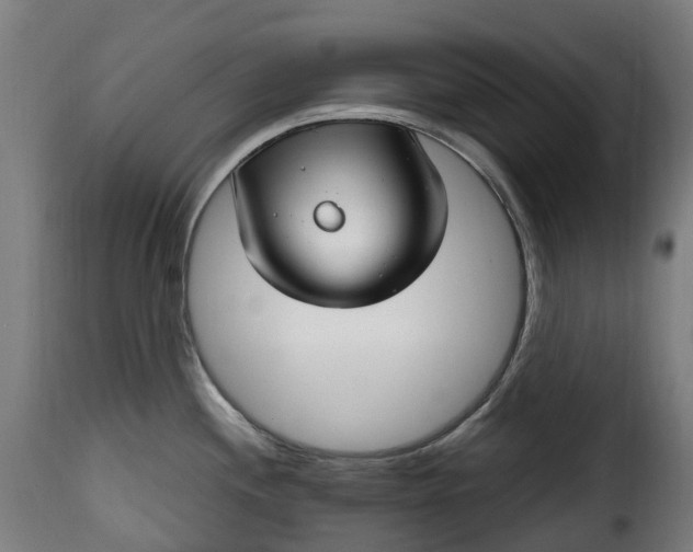 X0000115651244200911241727