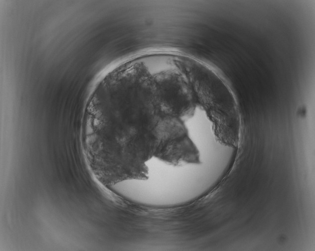 X0000115651245200911241727