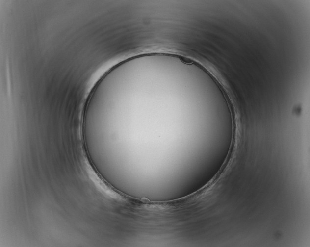 X0000115651246200911241727