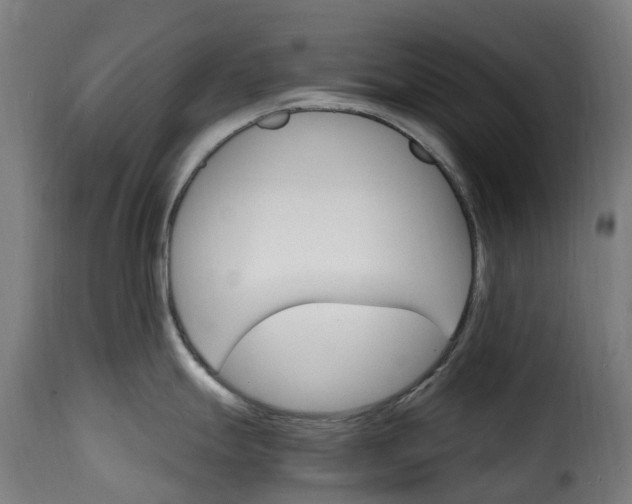 X0000115651247200911241727