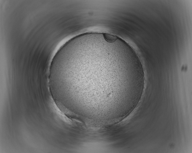 X0000115651248200911241727