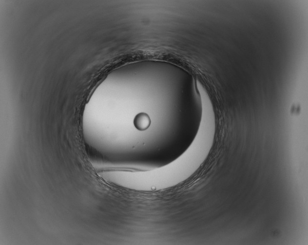 X0000115651249200911241726