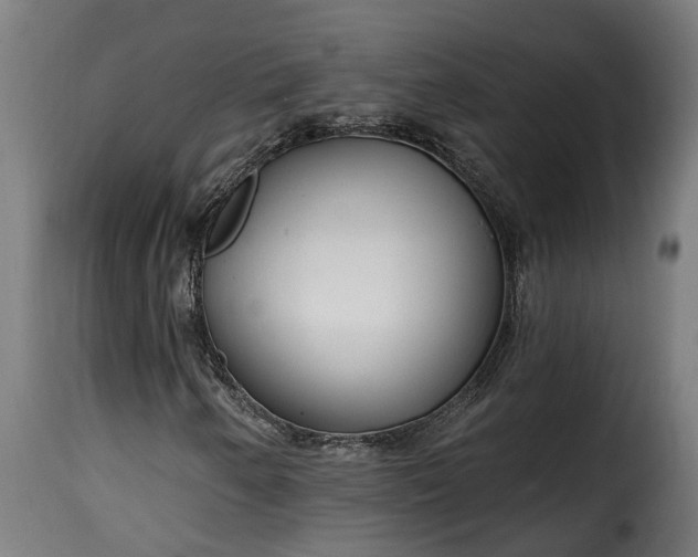 X0000115651250200911241726