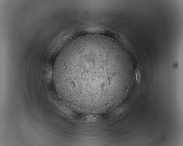 X0000115651251200911241726