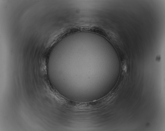 X0000115651252200911241726