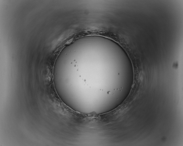 X0000115651253200911241726