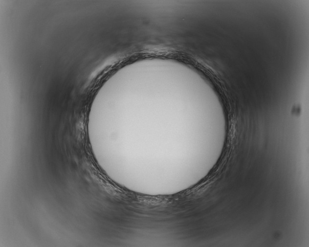 X0000115651254200911241726