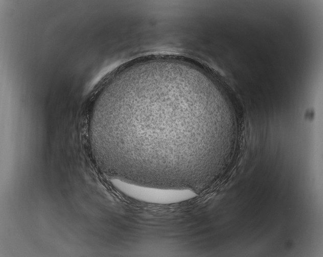 X0000115651255200911241726