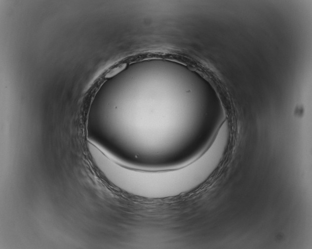 X0000115651256200911241726