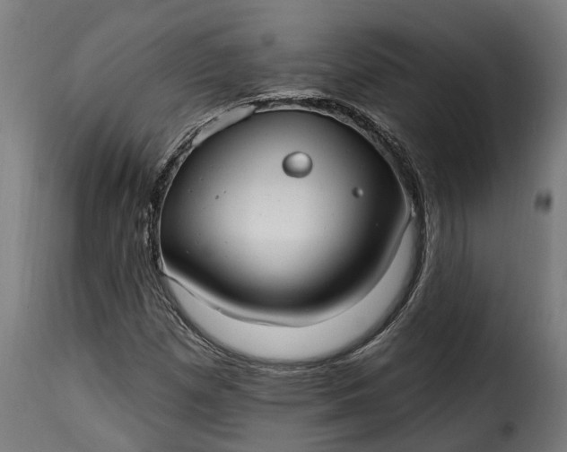 X0000115651257200911241726